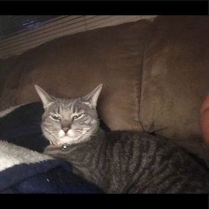 Meet your Posher, Rebecca